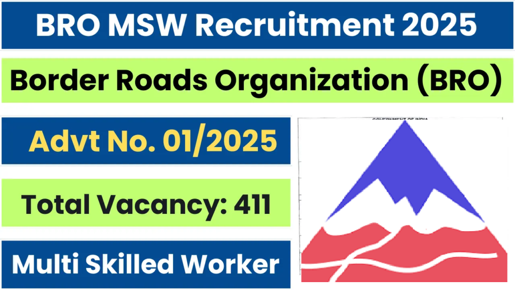 BRO MSW Recruitment 2025